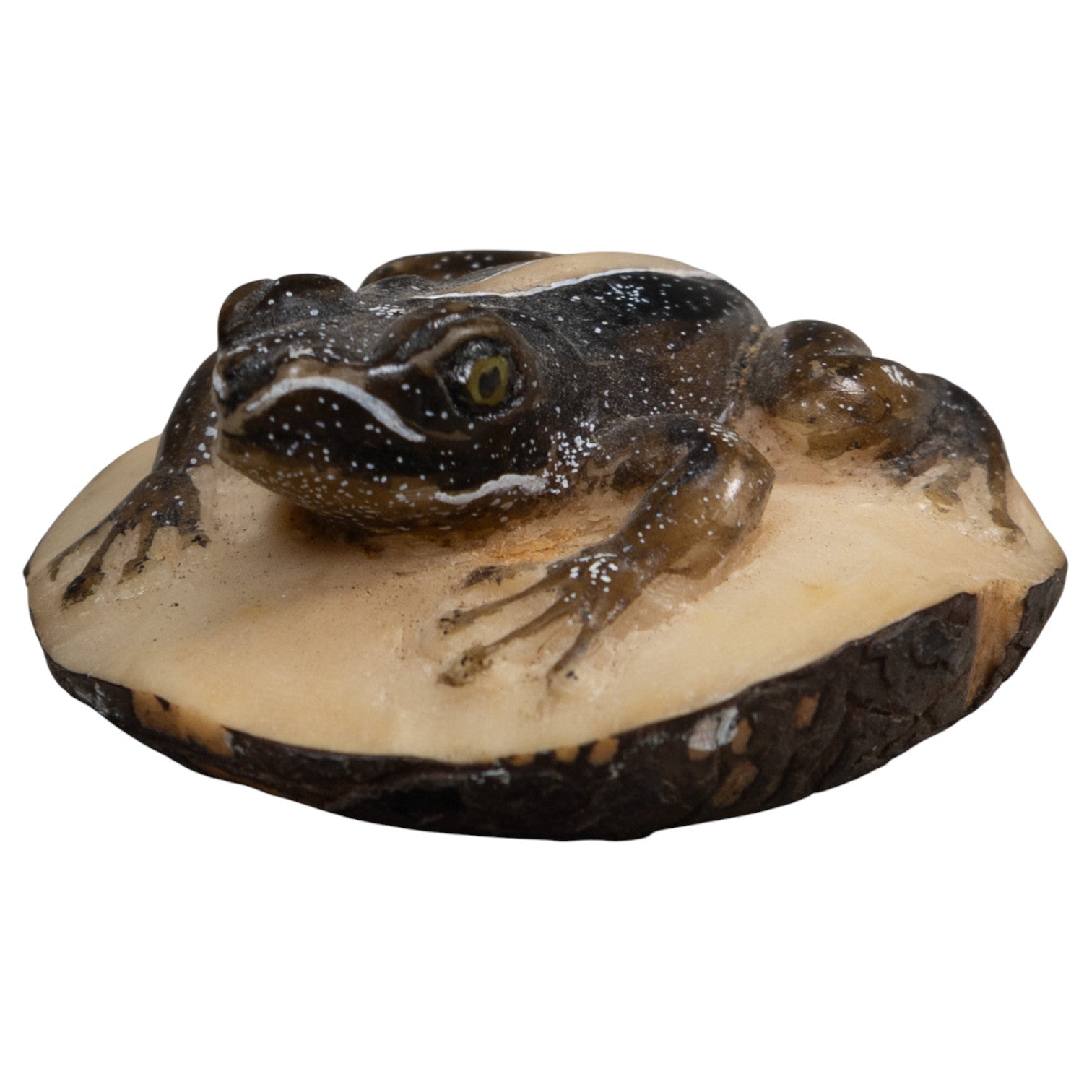 Brown Poison Dart Frog Tagua Carving