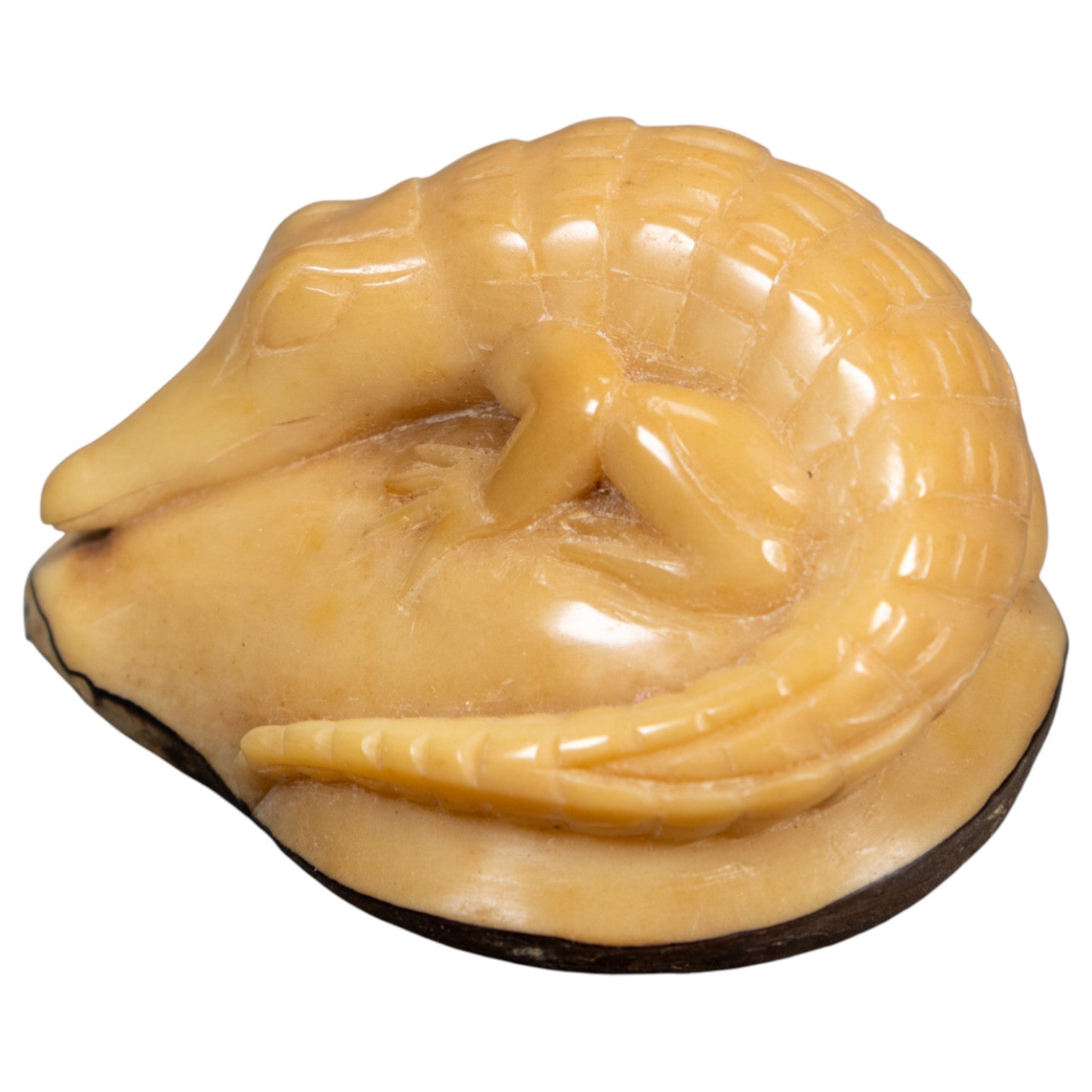 Vintage Natural White Dyed Alligator Tagua Carving