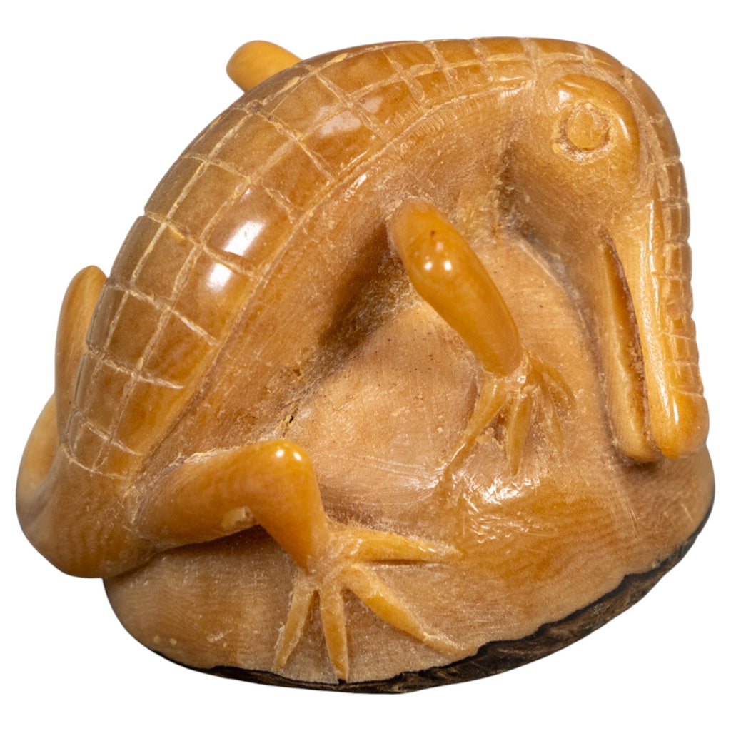 Vintage Dyed Alligator Crocodile Caiman Tagua Carving