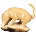 Natural White Coatimundi Tagua Carving