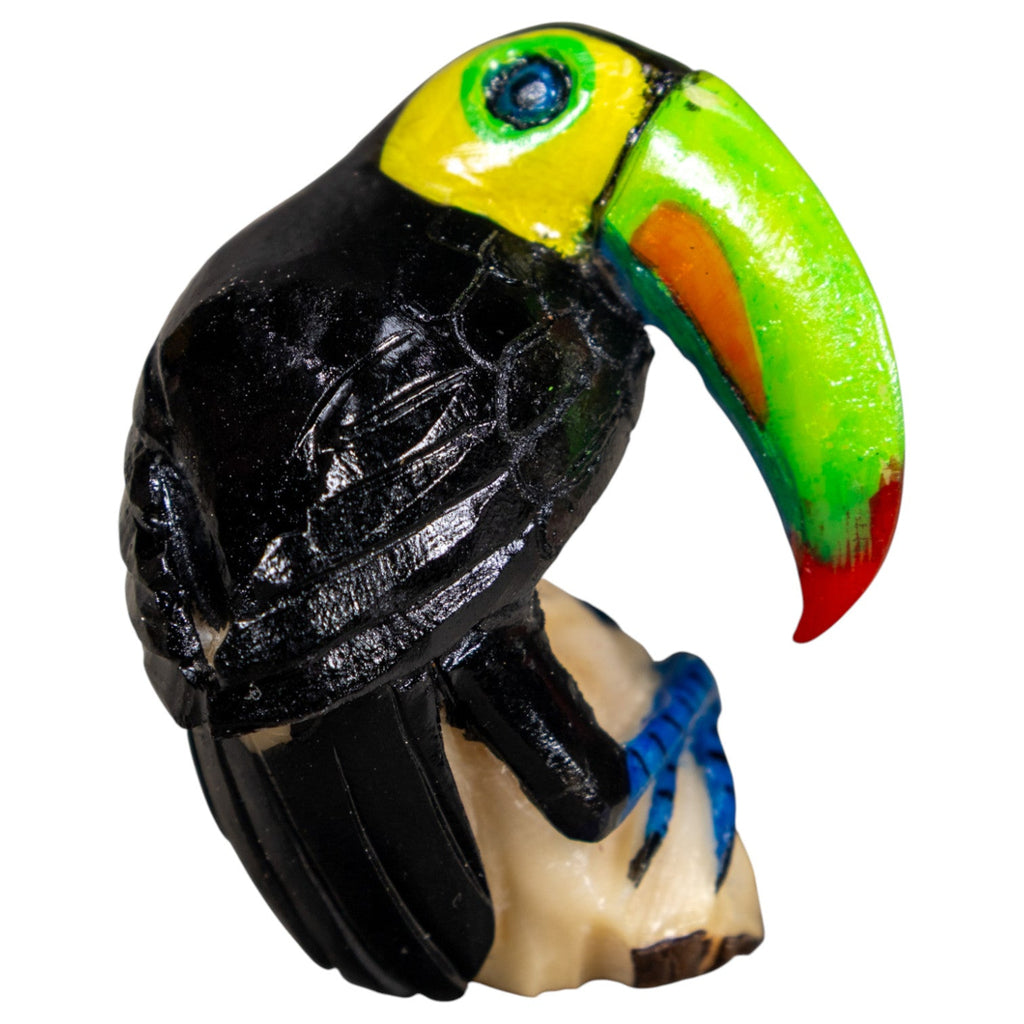Toucan Parrot Bird Tagua Carving