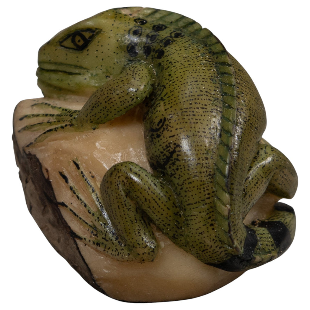 Green And Black Iguana Lizard Tagua Carving