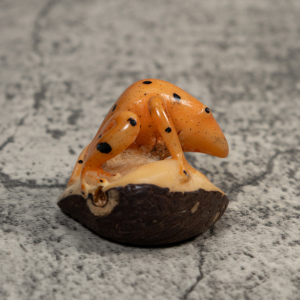 Vintage Gold And Black Jungle Frog Tagua Carving