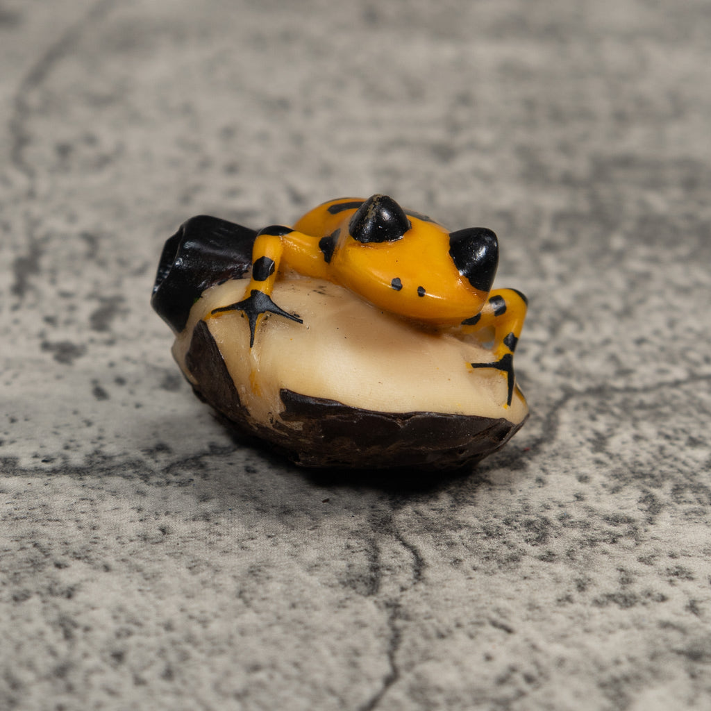 Black And Gold Poison Dart Frog Tagua Carving