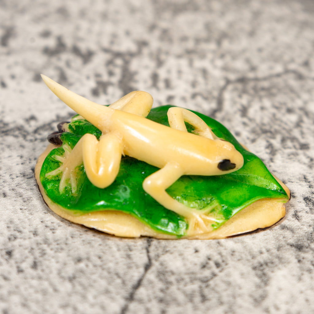White And Green Gecko Lizard Tagua Carving