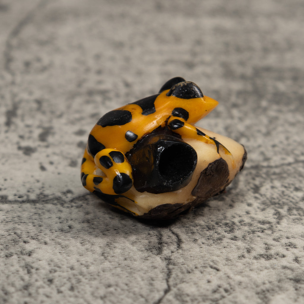 Black And Gold Poison Dart Frog Tagua Carving