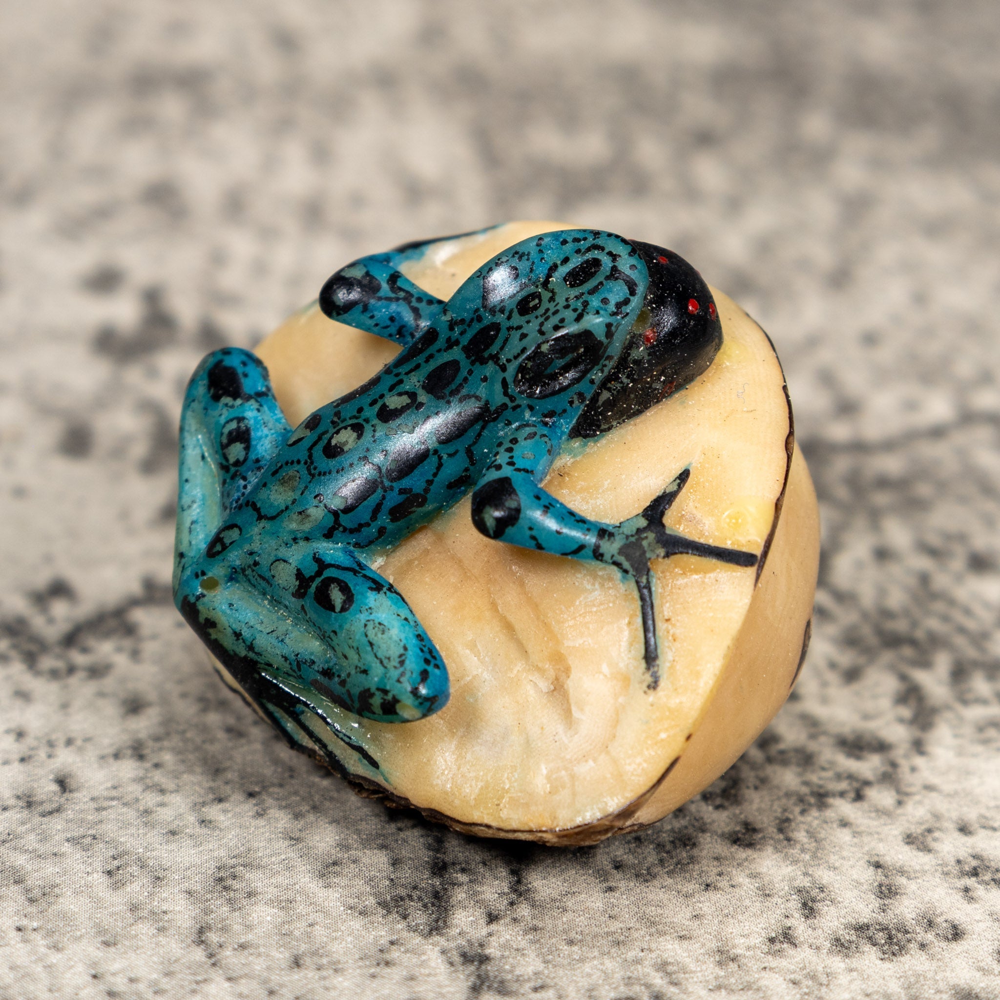 Black And Blue Blow Throat Poison Dart Frog Tagua Carving