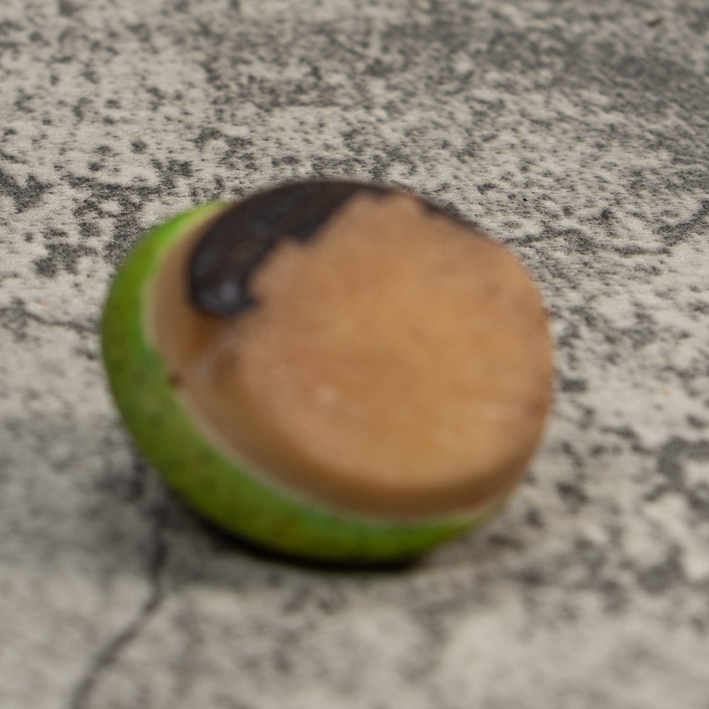 Green Gecko Lizard Tagua Carving