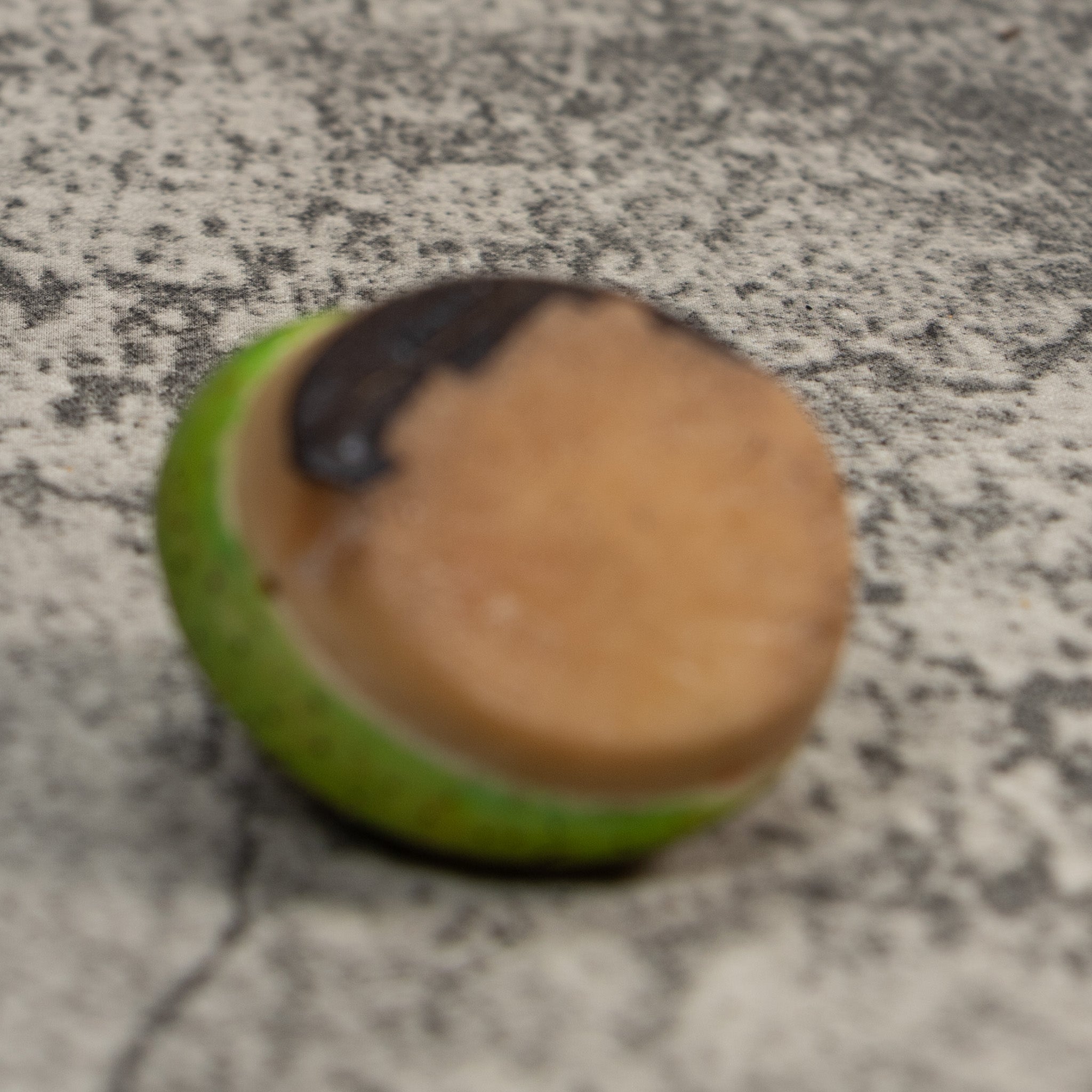 Green Gecko Lizard Tagua Carving