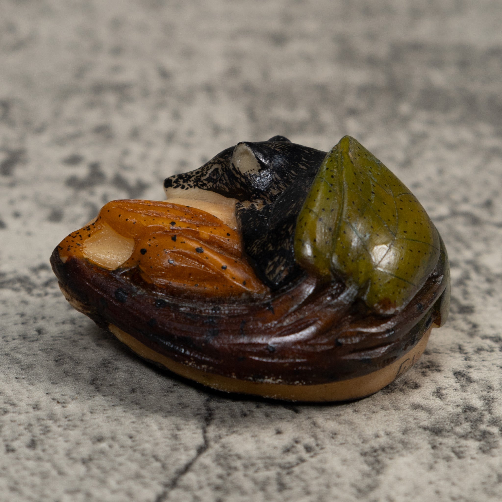 Rainforest Coatimundi Tagua Carving