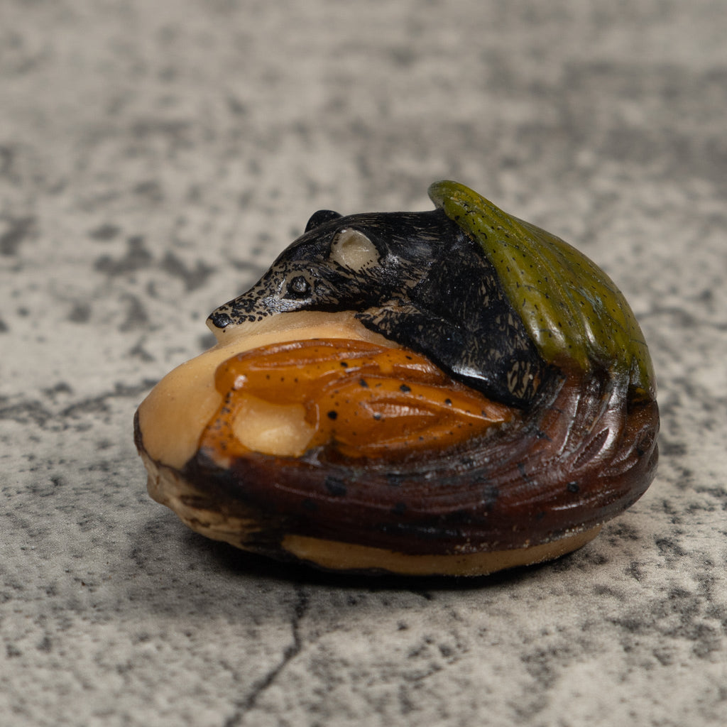 Rainforest Coatimundi Tagua Carving