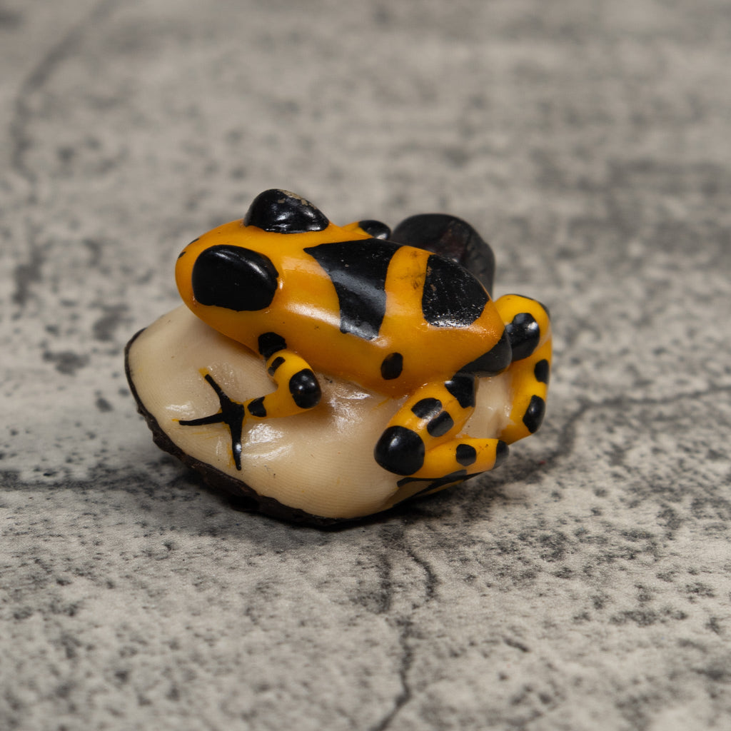 Black And Gold Poison Dart Frog Tagua Carving