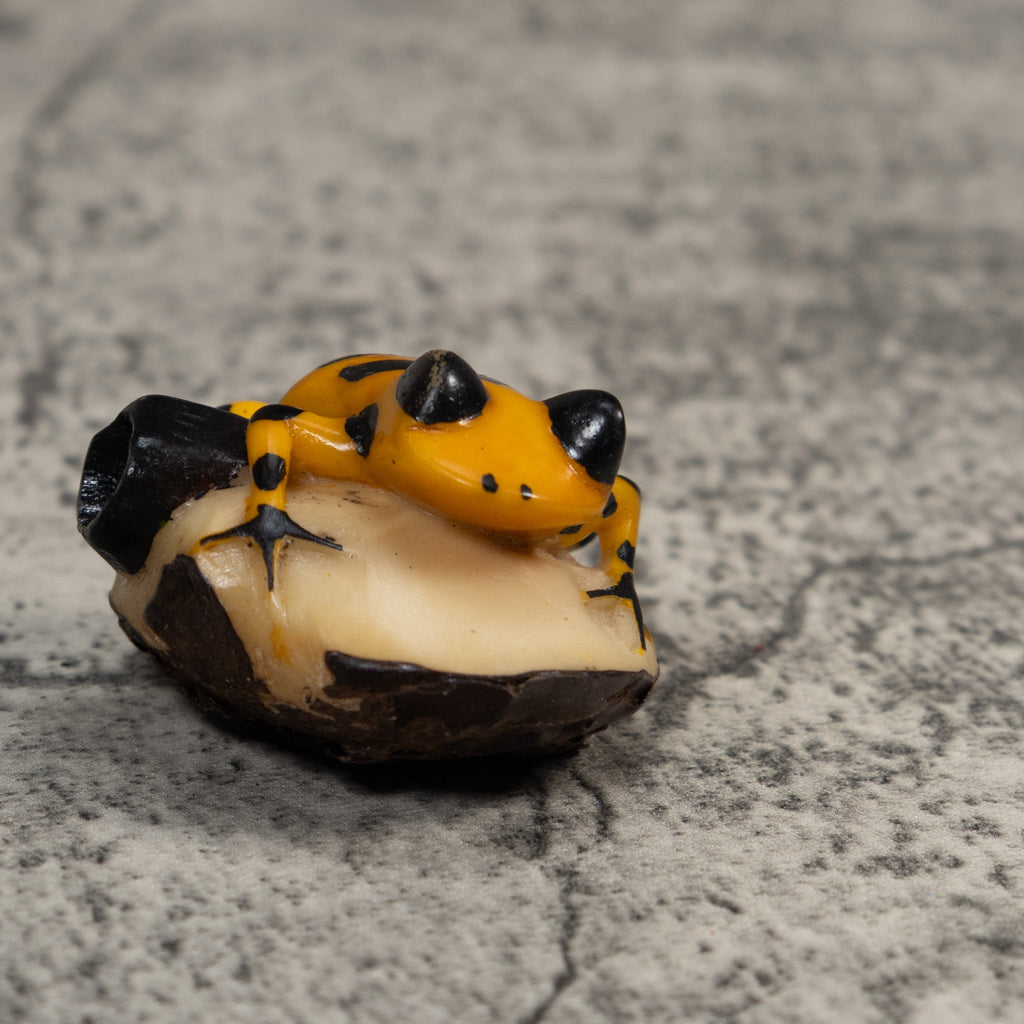 Black And Gold Poison Dart Frog Tagua Carving