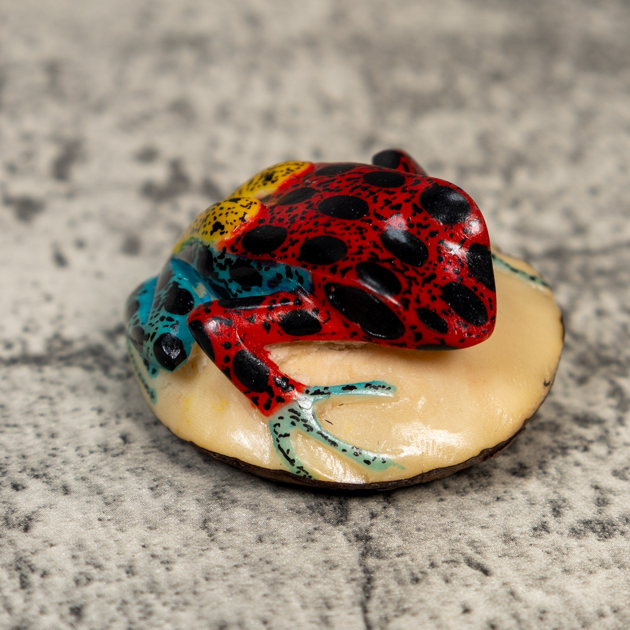Gold And Black Red Poison Dart Frog Tagua Carving
