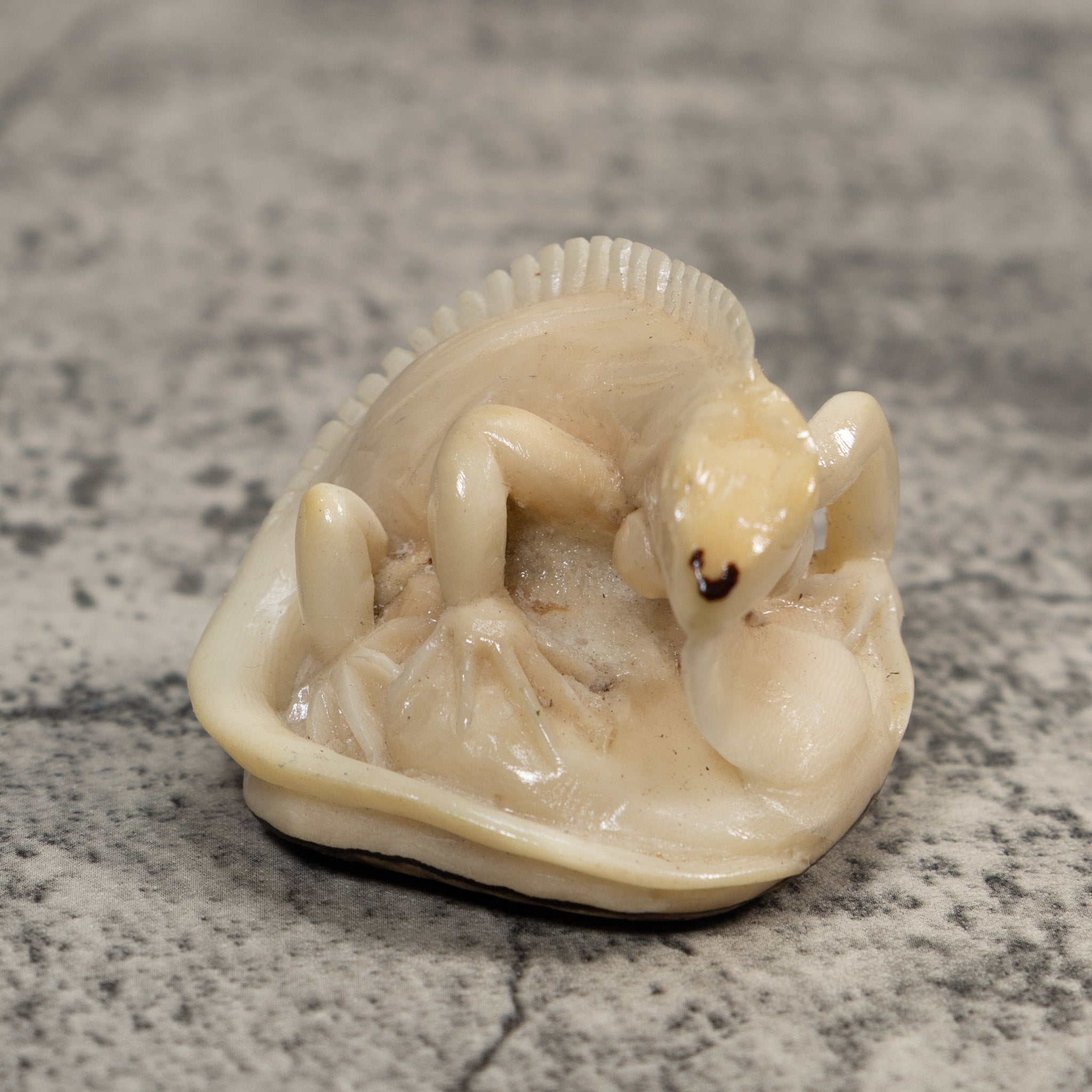 White Natural Iguana Lizard Tagua Carving