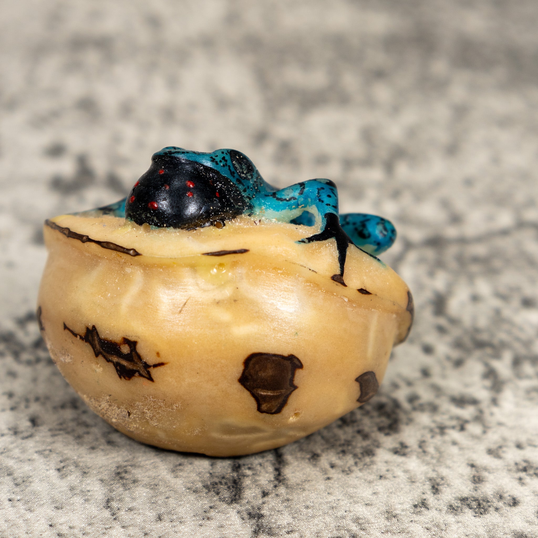 Black And Blue Blow Throat Poison Dart Frog Tagua Carving