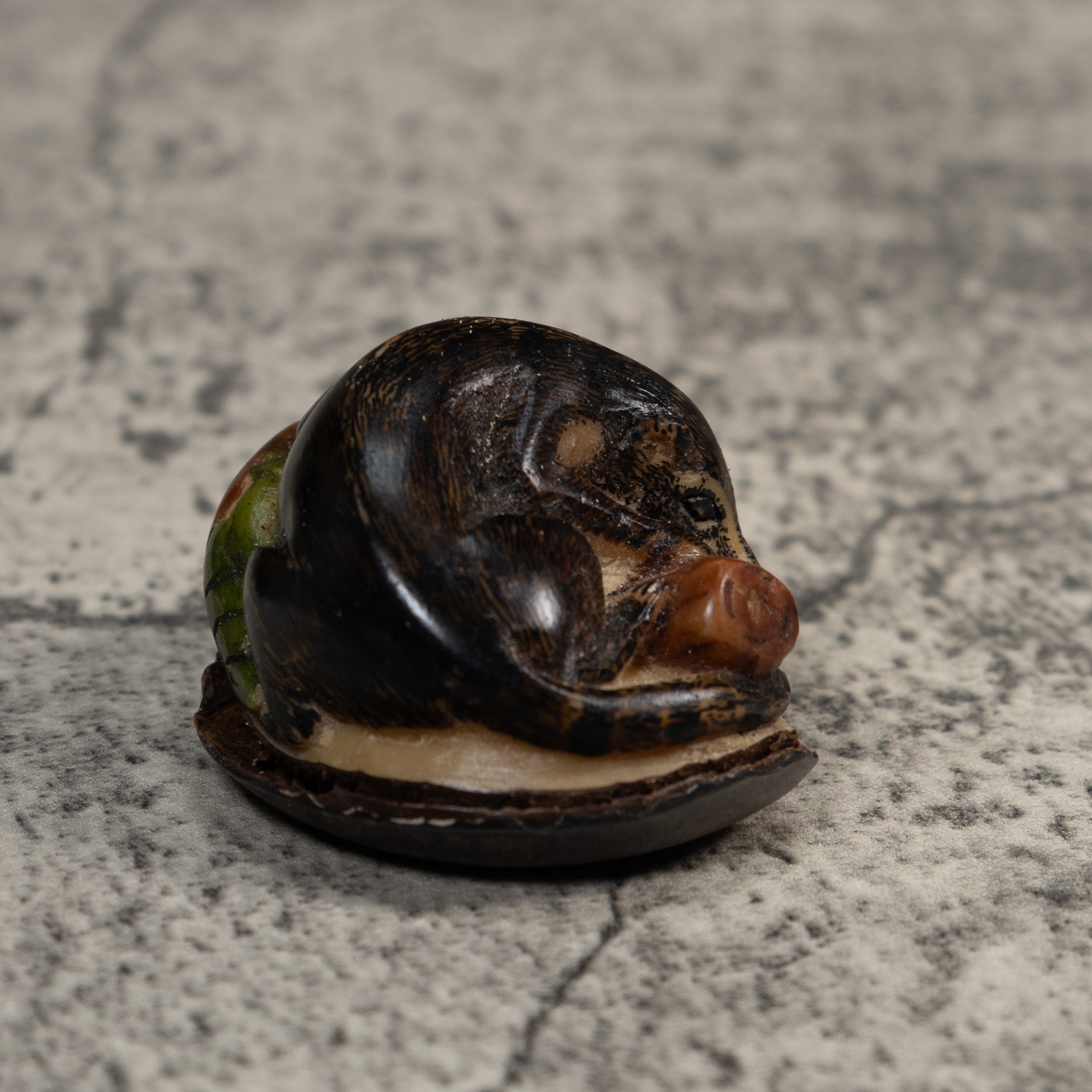 Rainforest Coatimundi Tagua Carving