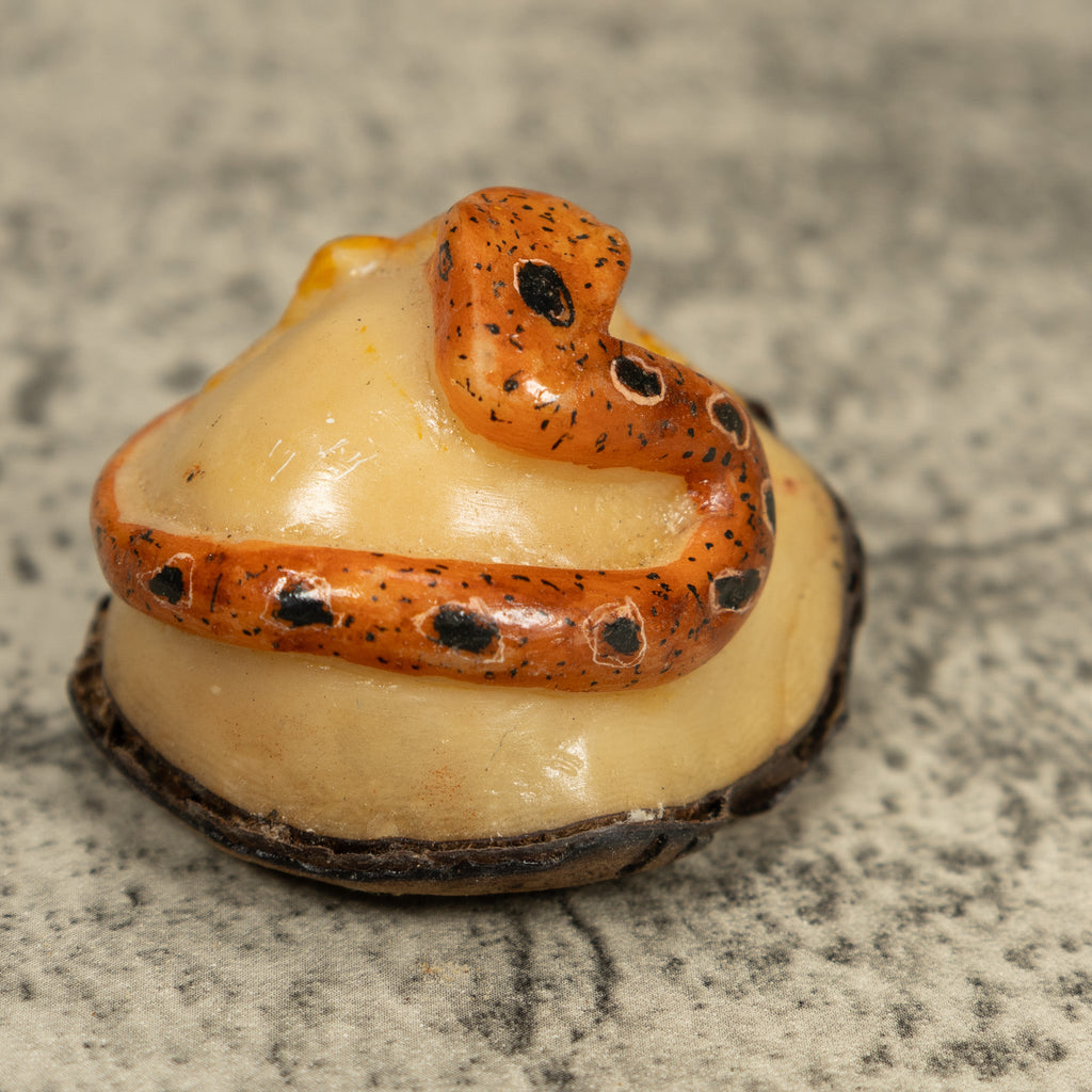 Snake Eating Frog Tagua Carving