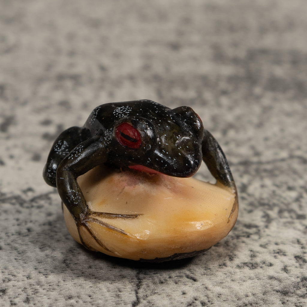 Black Red-Eyed Poison Dart Frog Tagua Carving