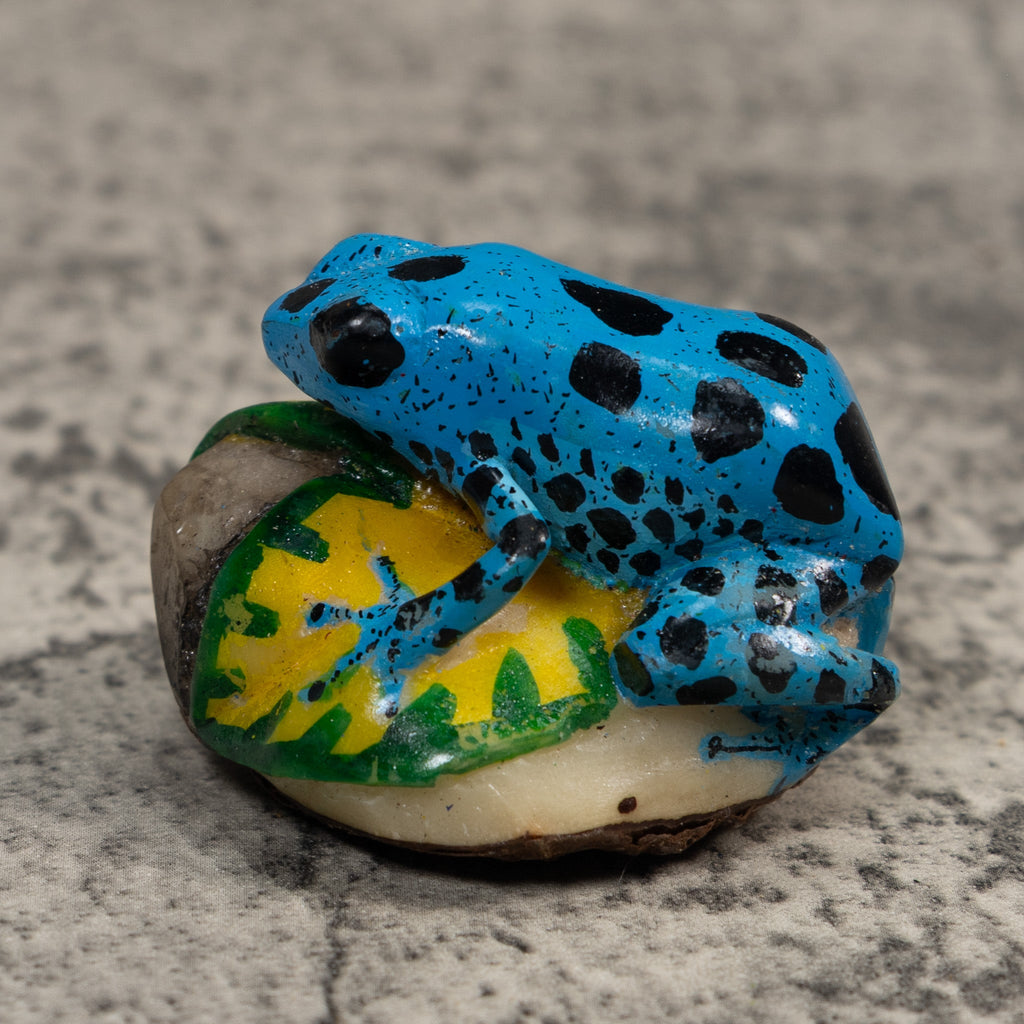 Blue And Black Poison Dart Frog Tagua Carving