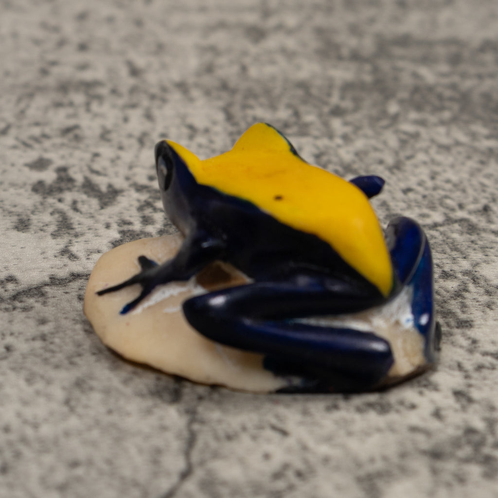 Poison Dart Frog Tagua Carving