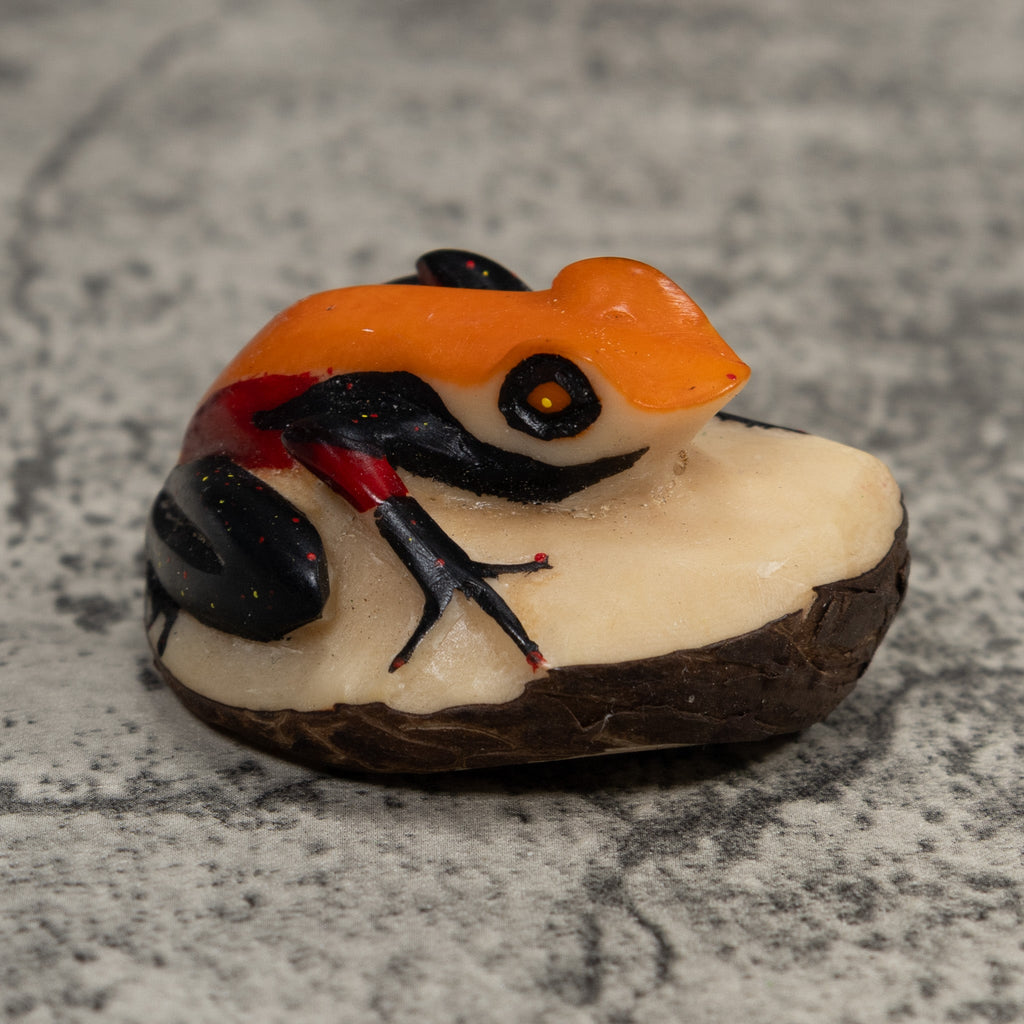 Vintage Orange And Black Frog Tagua Carving