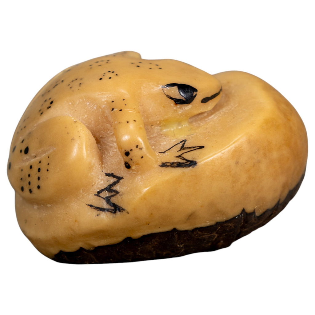 Vintage Primative Natural White Frog Tagua Carving
