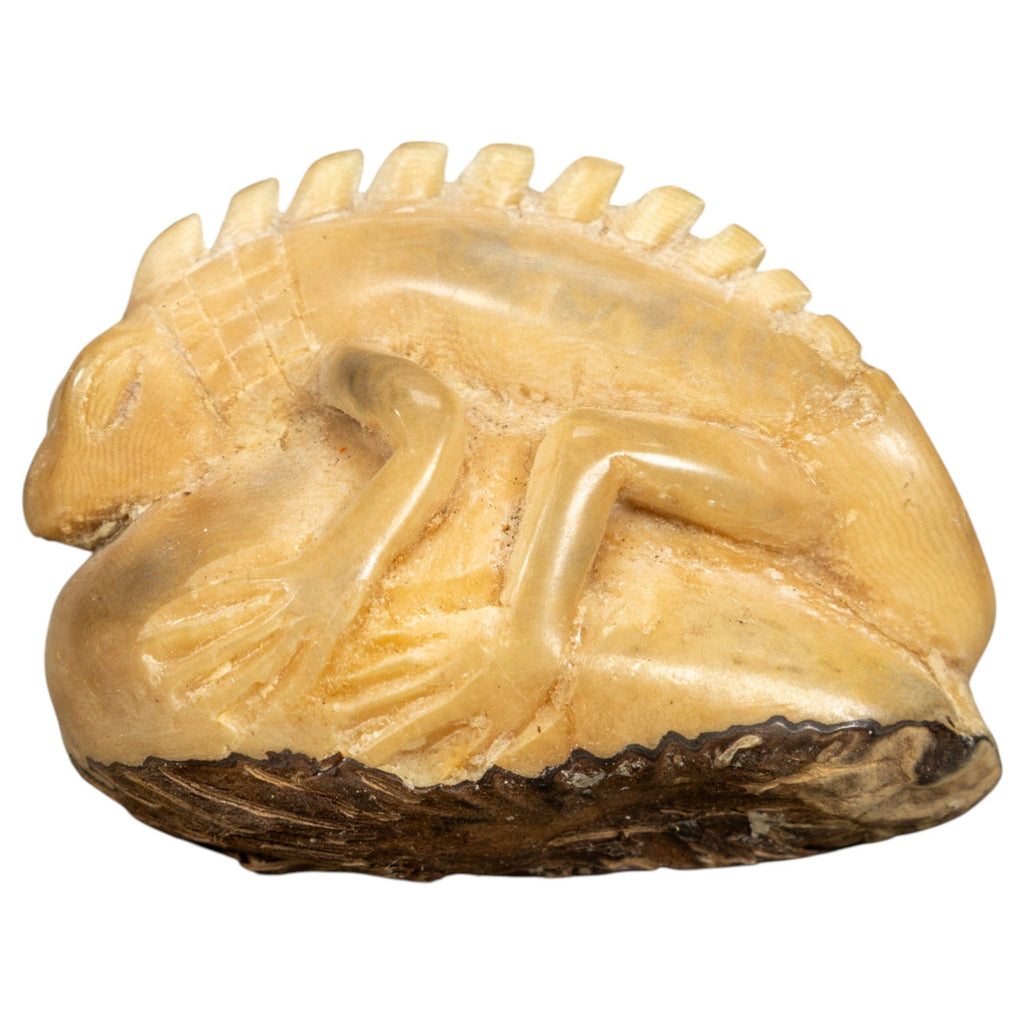 Natural White Iguana Lizard Tagua Carving