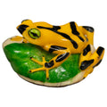 Golden Frog Tagua Carving