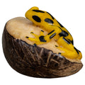 Golden Frog Tagua Carving