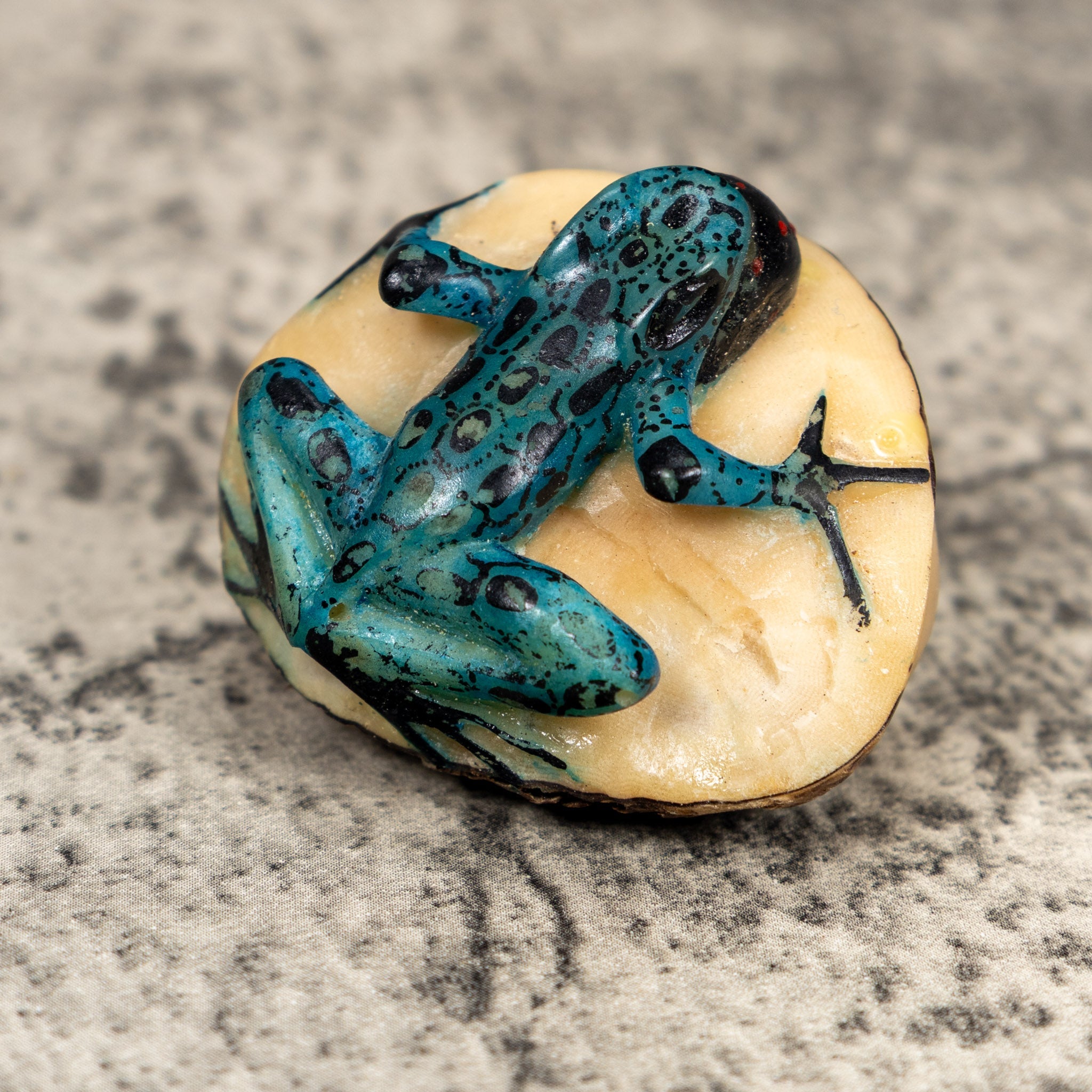 Black And Blue Blow Throat Poison Dart Frog Tagua Carving