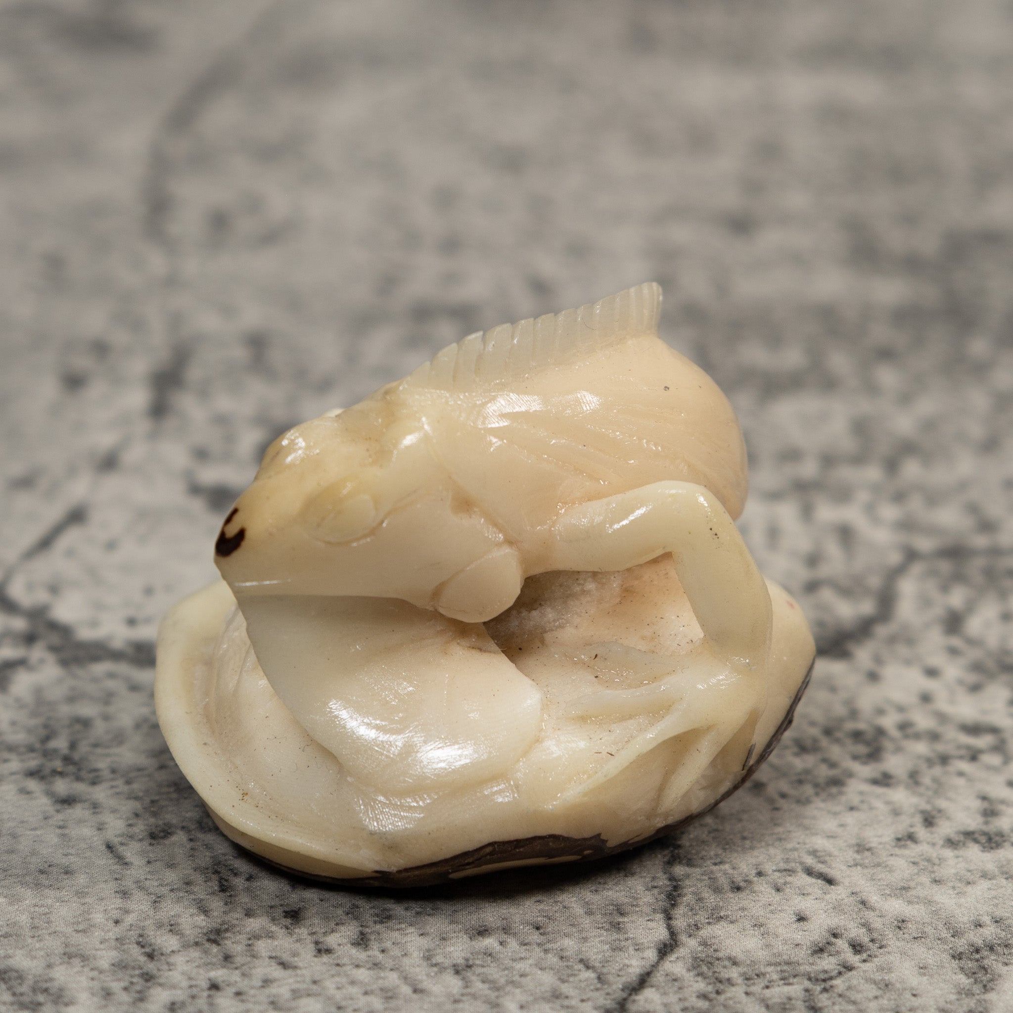 White Natural Iguana Lizard Tagua Carving