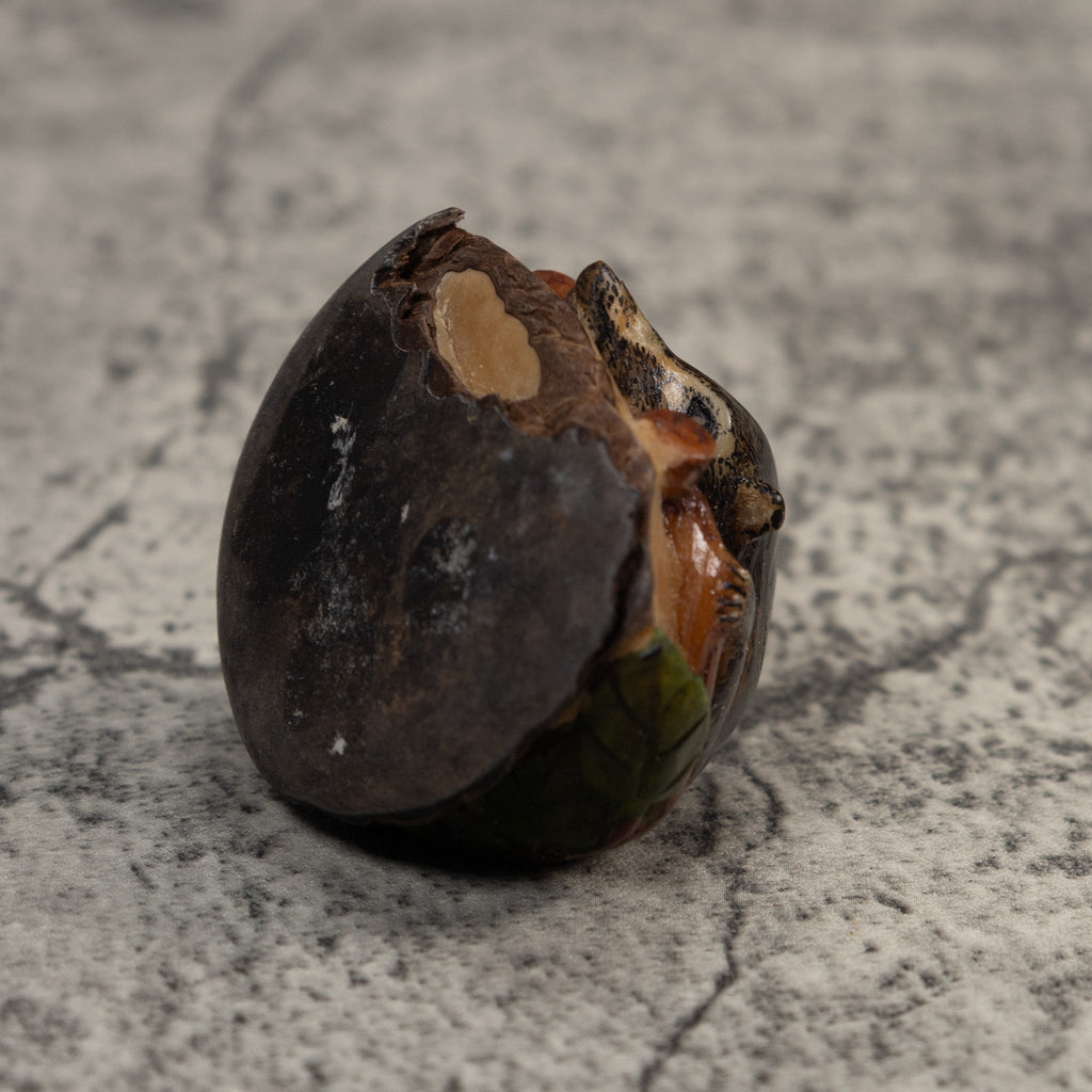 Rainforest Coatimundi Tagua Carving