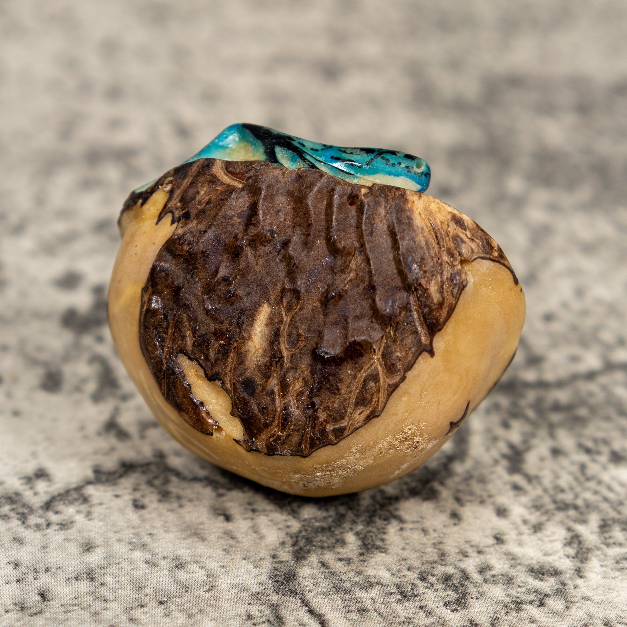 Black And Blue Blow Throat Poison Dart Frog Tagua Carving
