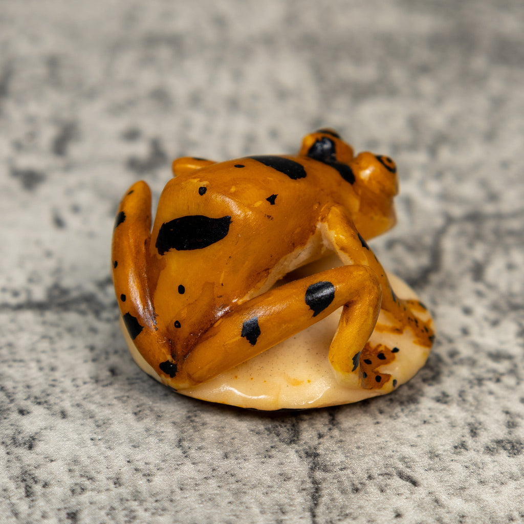 Vintage Gold And Black Frog Tagua Carving