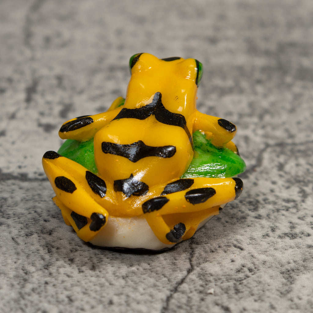 Black And Gold Poison Dart Frog Tagua Carving