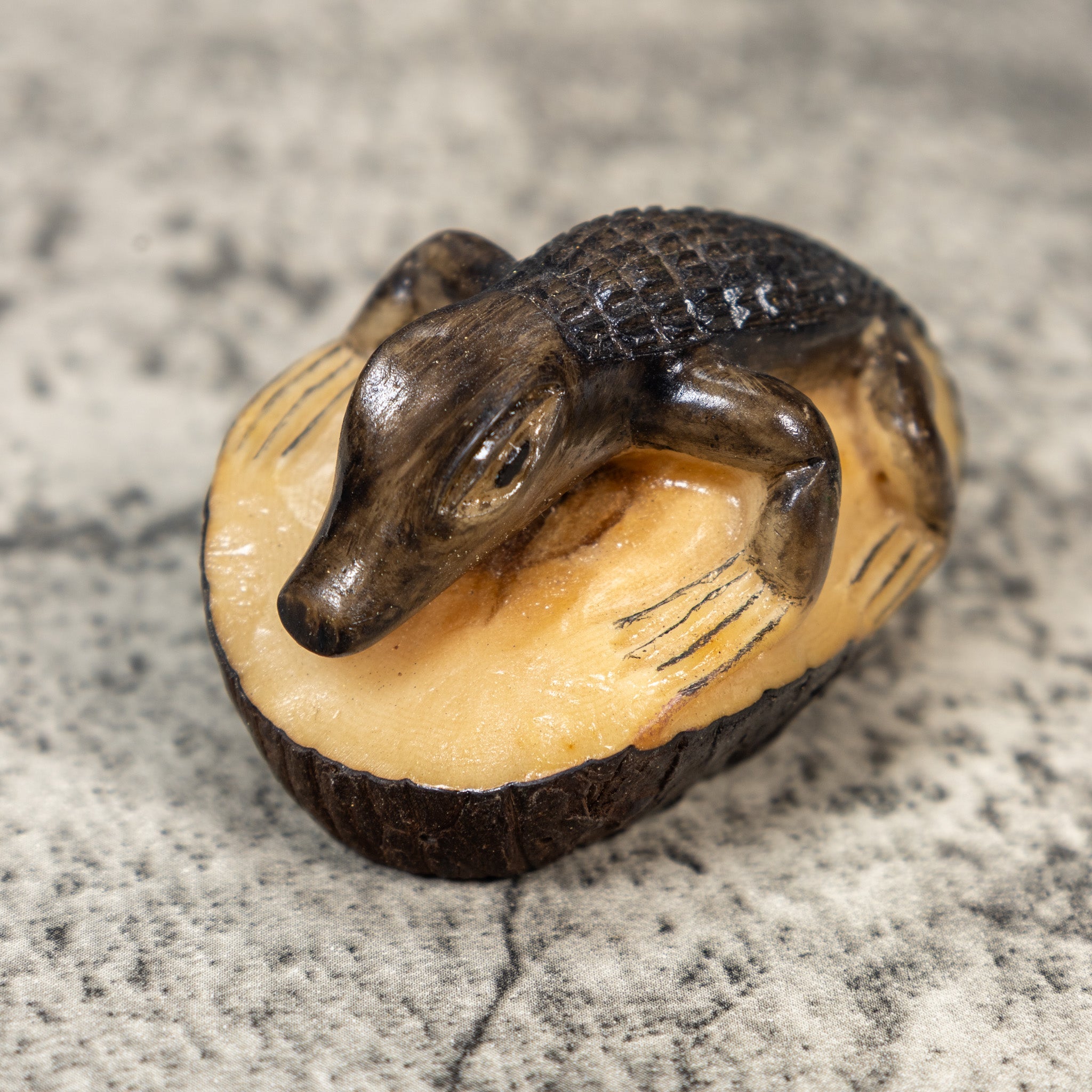 Alligator Crocodile Caiman Tagua Carving