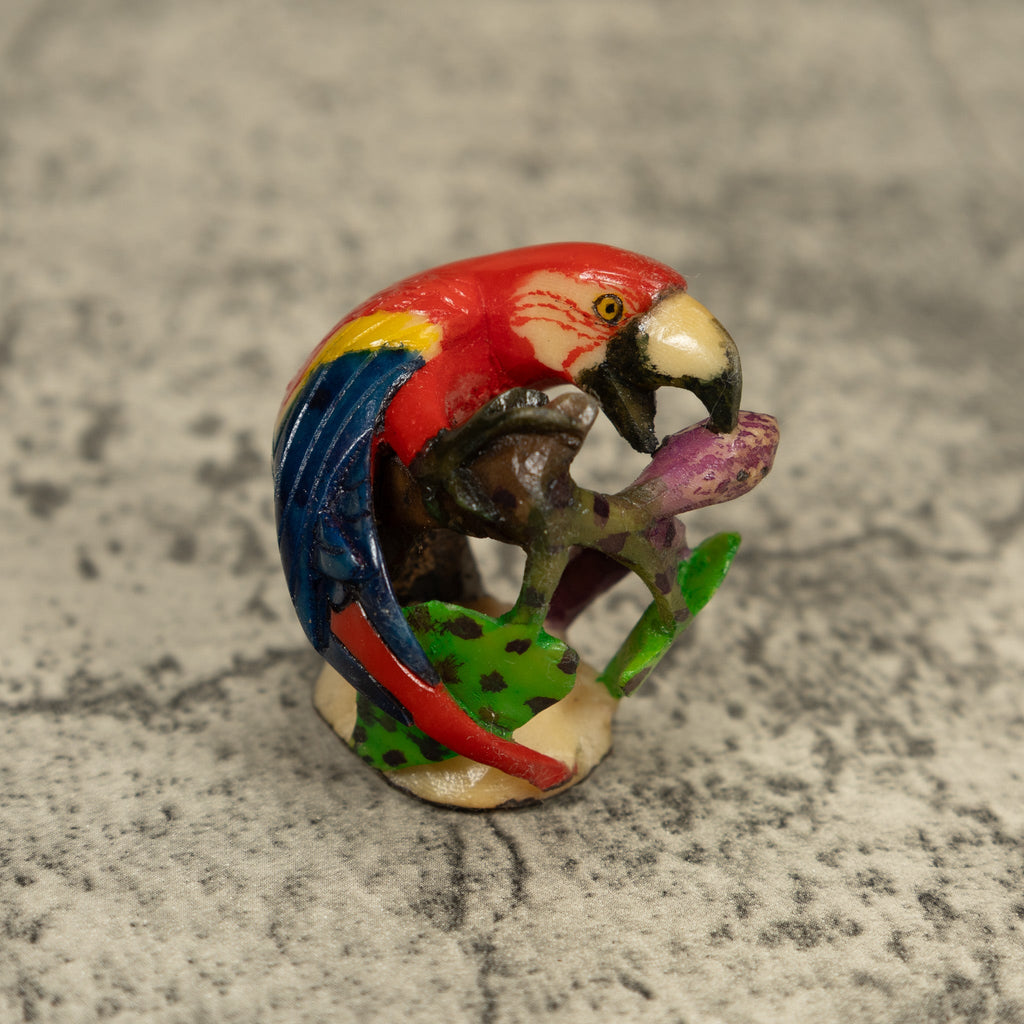Red Blue And Yellow Macaw Parrot Tagua Carving