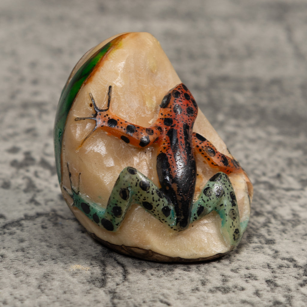 Black And Blue Orange Poison Dart Frog Tagua Carving