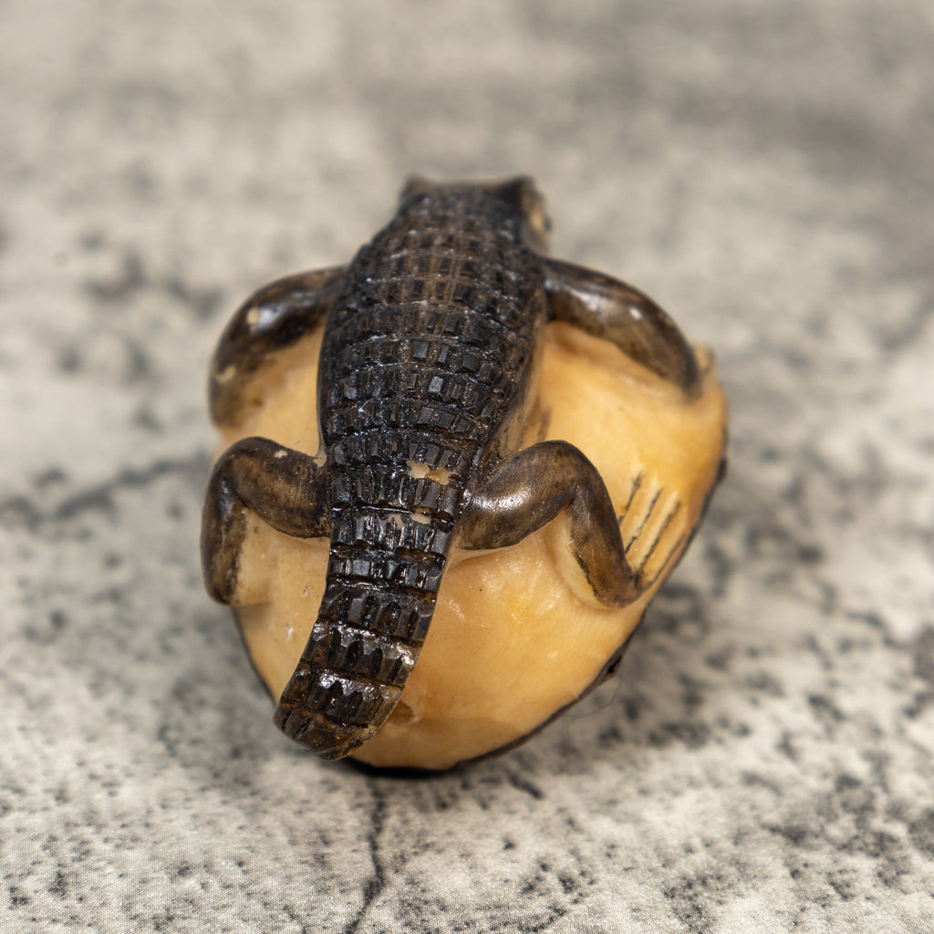 Alligator Crocodile Caiman Tagua Carving