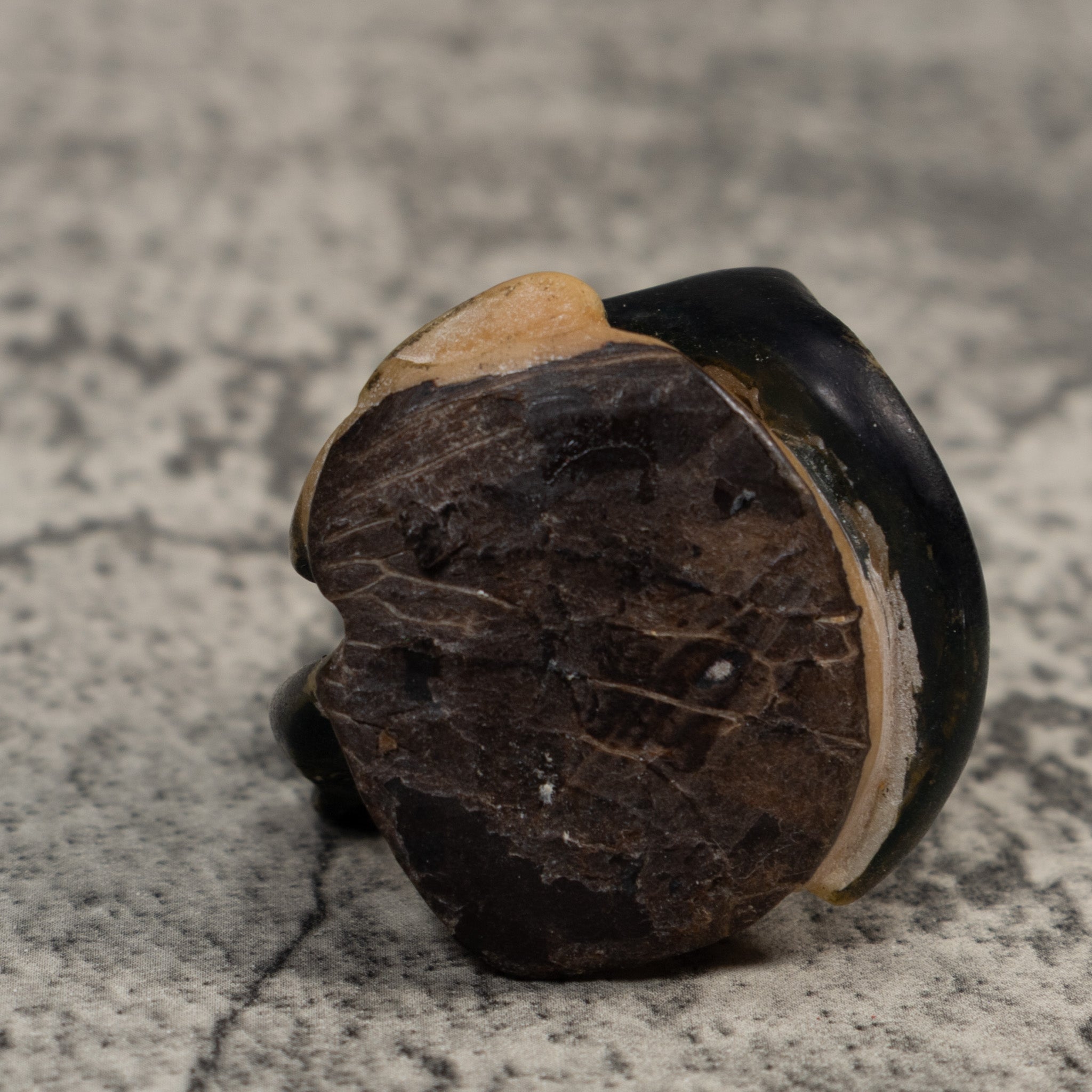 Vintage Anteater Tagua Carving