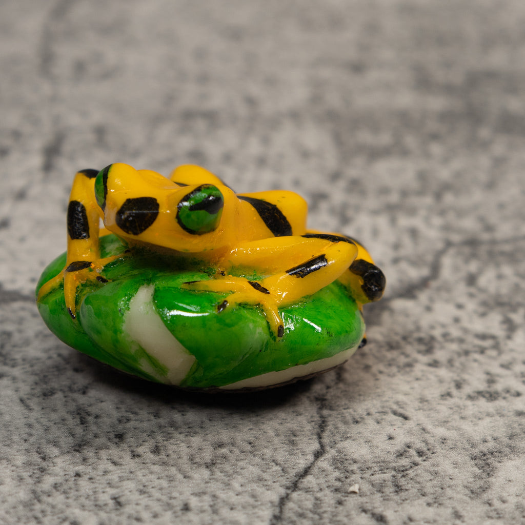 Black And Gold Poison Dart Frog Tagua Carving