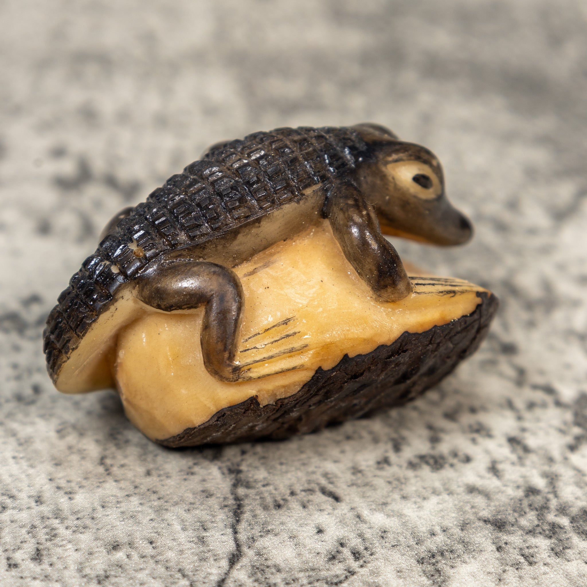 Alligator Crocodile Caiman Tagua Carving