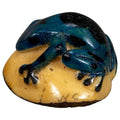 Vintahe Black And Blue Poison Dart Frog Tagua Carving