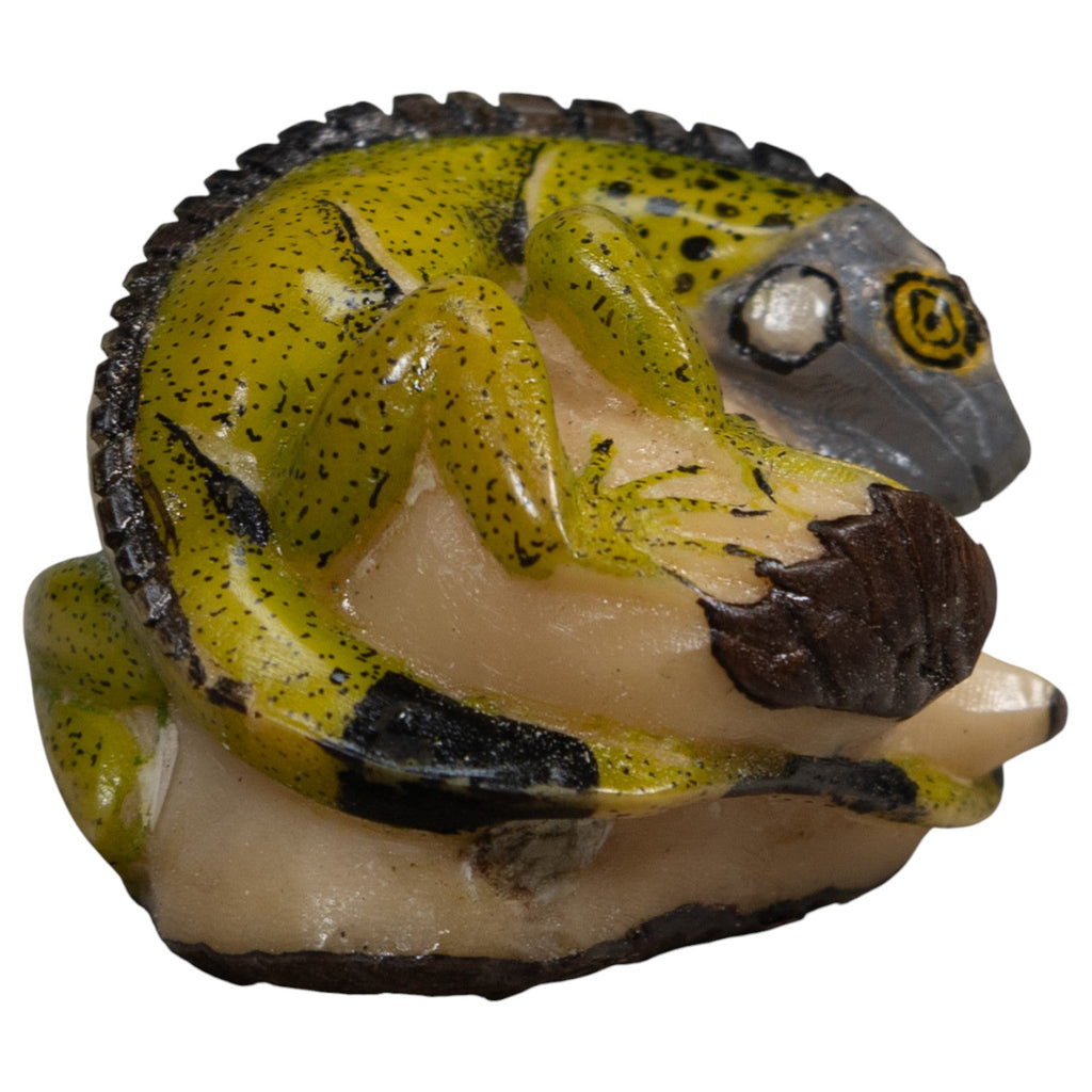 Green And Black Iguana Lizard Tagua Carving