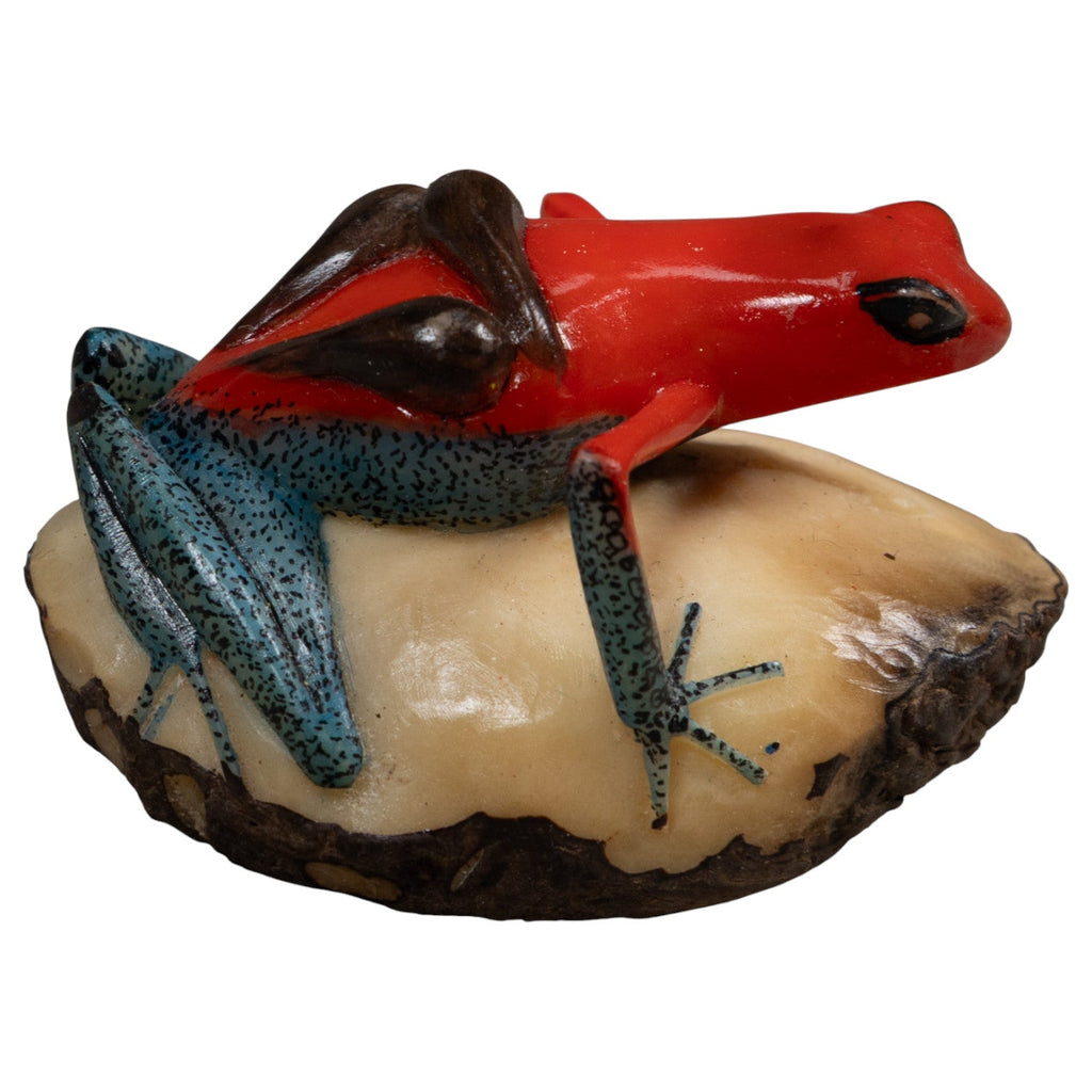 Red Black And Blue Poison Dart Frog Tagua Carving