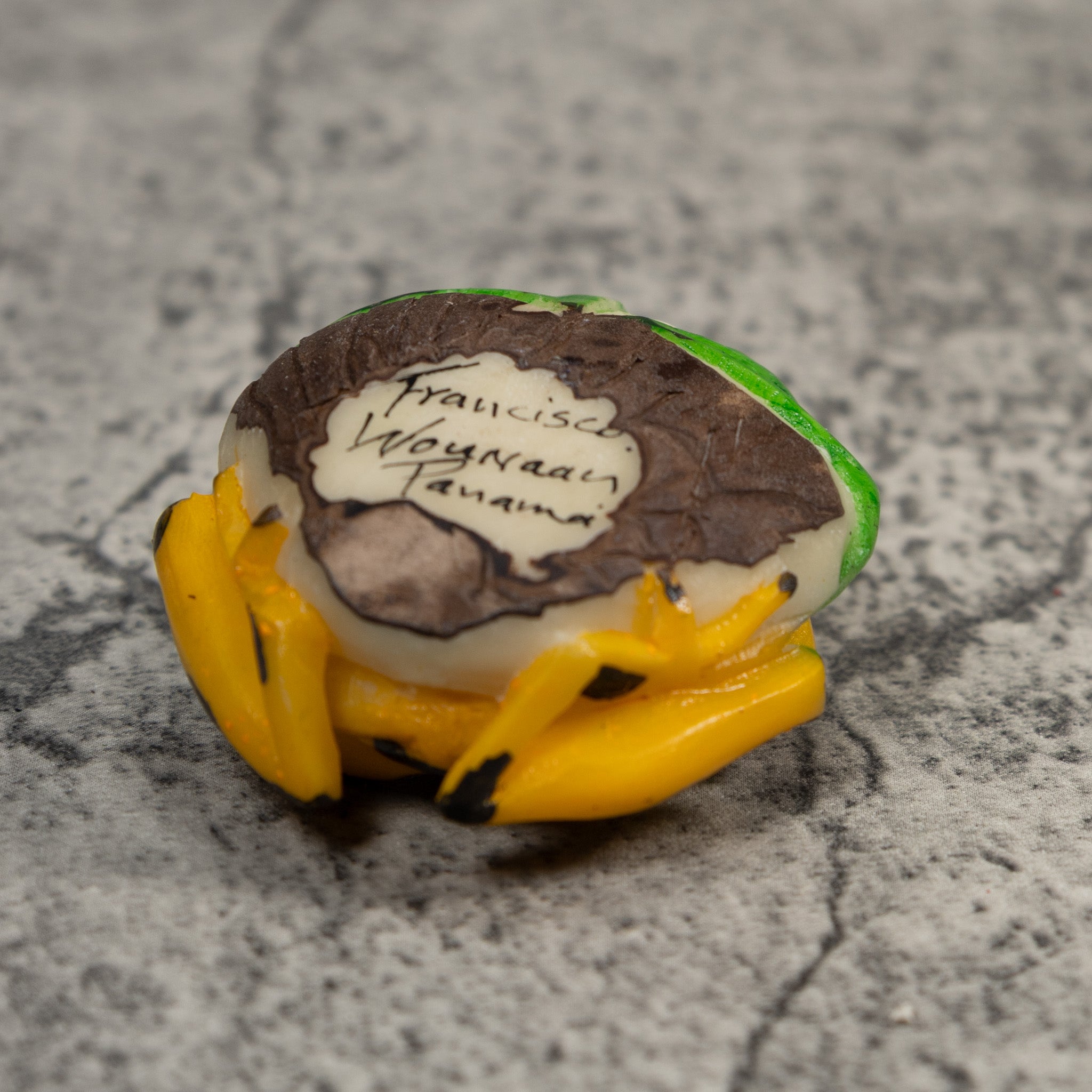 Black And Gold Poison Dart Frog Tagua Carving