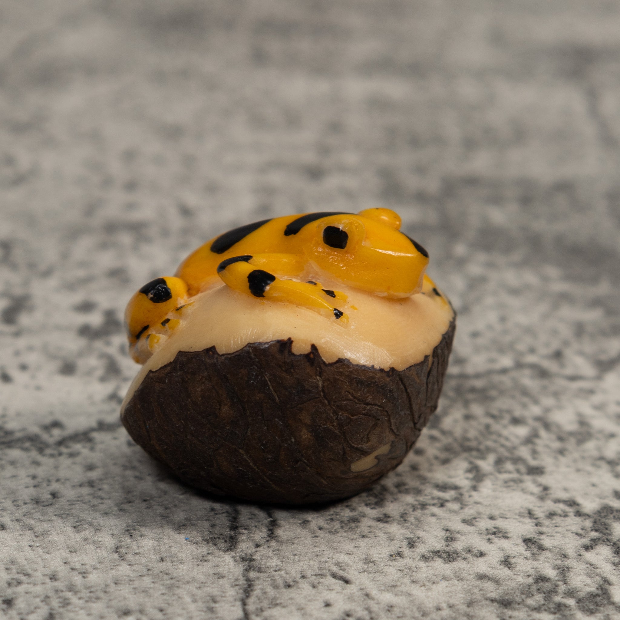 Gold and Black Frog Tagua Carving