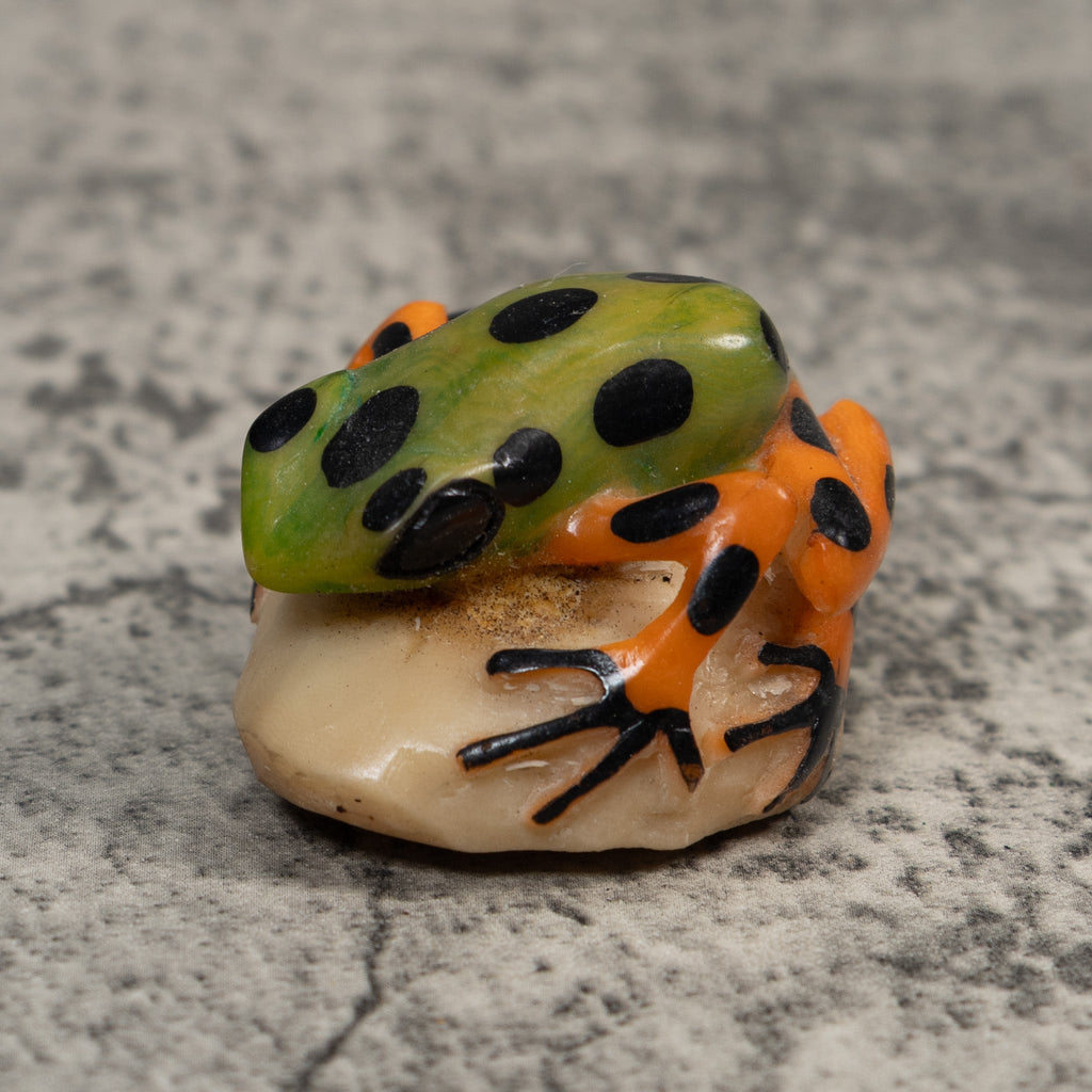 Orange Green And Black Poison Dart  Frog Tagua Carving