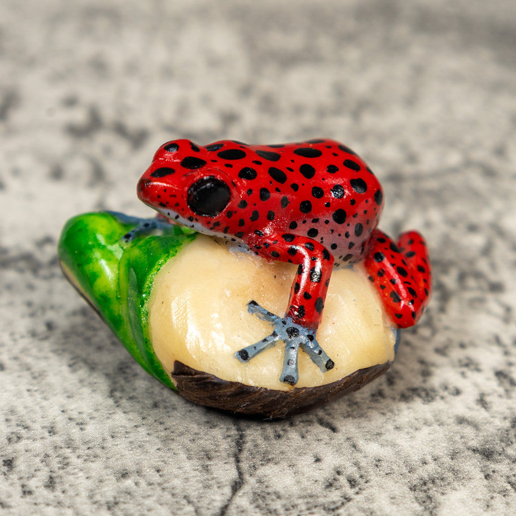 Red Poison Dart Frog Tagua Carving